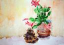 09. Strobile and Decembrist - 