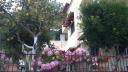 013. Picturesque garden in Loutraki (Λουτράκι) - 