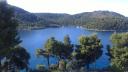 017. Pine rhapsody of Panormos (Πάνορμος) and Blo (Μπλό) - 