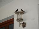060. Swallow parents in tavern in Neo Klima - Νέο Κλήμα