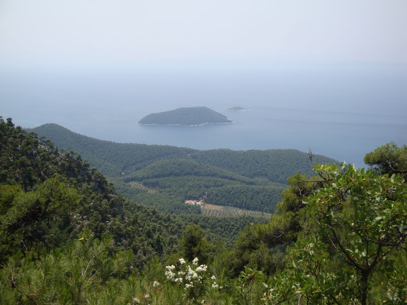 Breathtaking view from the top of Dhelfi mountain (Δέλφη)