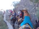 17. Riding donkeys on the way upstairs to Oia - Santorini
