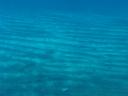 54. Stripes of white seaweeds on the black sand - Perissa beach, Santorini